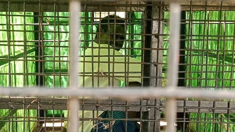 <div class="paragraphs"><p>A man seen trapped in the cage laid to rescue a leopard at Gangawadi village in Chamarajanagar taluk on Tuesday. </p></div>