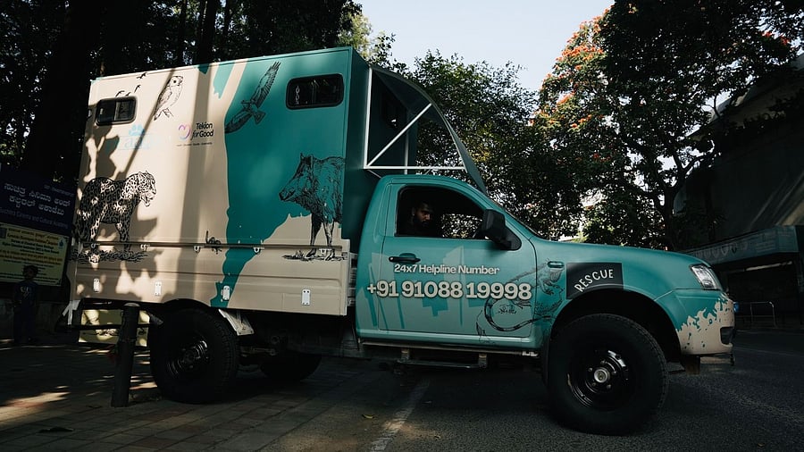 This Urban Wildlife Ambulance is a fully equipped, vet-on-board rescue unitdesigned to respond to animals in distress in urban spaces.