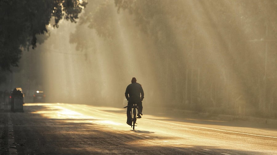 <div class="paragraphs"><p>A cyclist makes his way as a layer of smog covers the city during a cold winter morning, in New Delhi.</p></div>