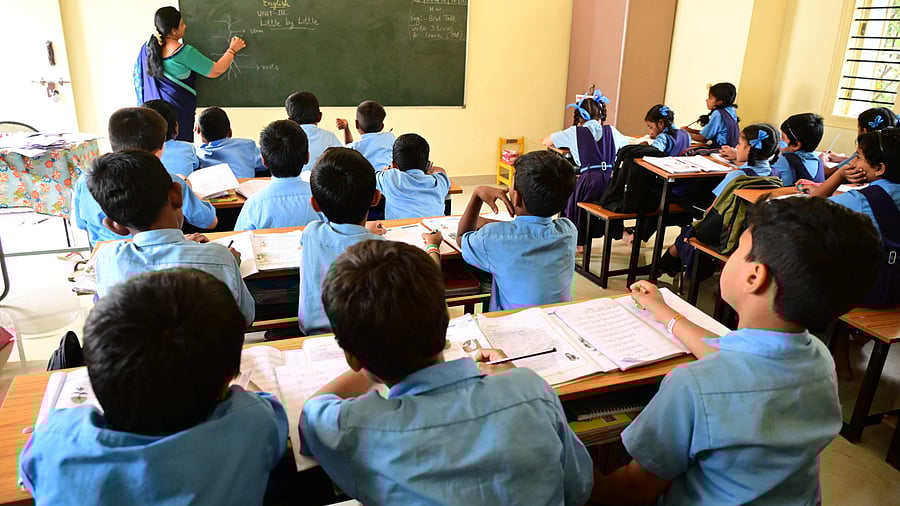 <div class="paragraphs"><p>Representative image for students.</p></div>