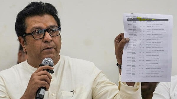 <div class="paragraphs"><p>Maharashtra Navnirman Sena president Raj Thackeray</p></div>