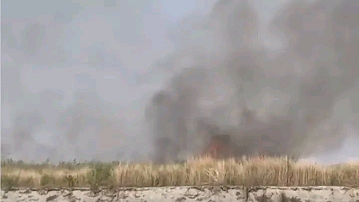 <div class="paragraphs"><p>Payeng's forest, popularly known as Molai Katoni, was set afire by unidentified miscreants on Sunday evening.</p></div>