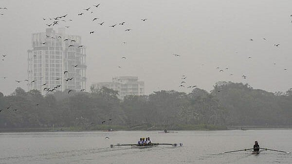 <div class="paragraphs"><p>People row a boat at Rabindra Sarobar lake on a winter morning, in Kolkata.</p></div>