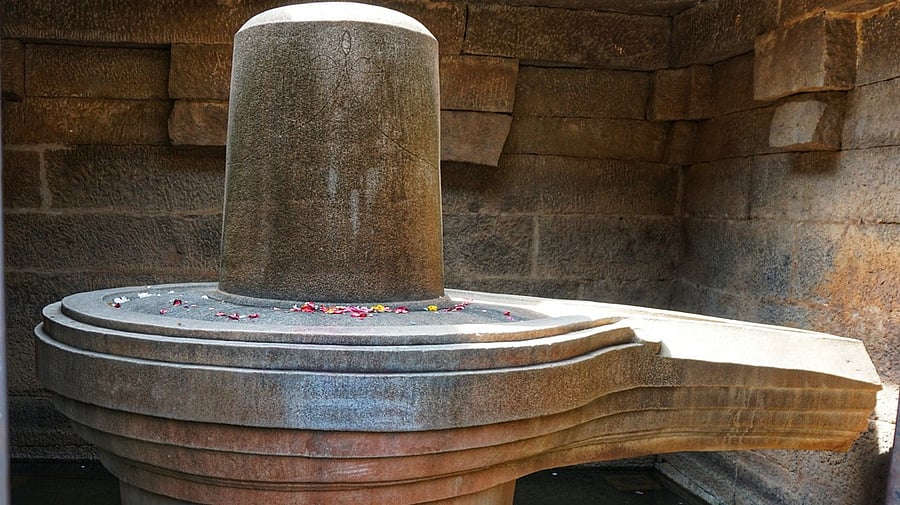 <div class="paragraphs"><p>File photo for representational purpose.</p></div>