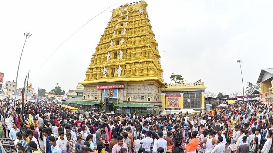 <div class="paragraphs"><p>People throng the&nbsp;Chamundi&nbsp;Hill.&nbsp;&nbsp;</p></div>