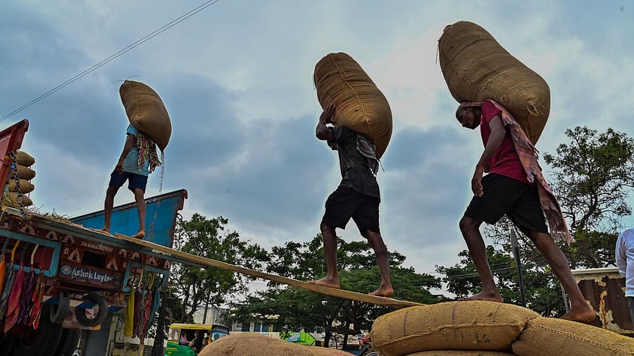 <div class="paragraphs"><p>Representative image of hamali workers.</p></div>