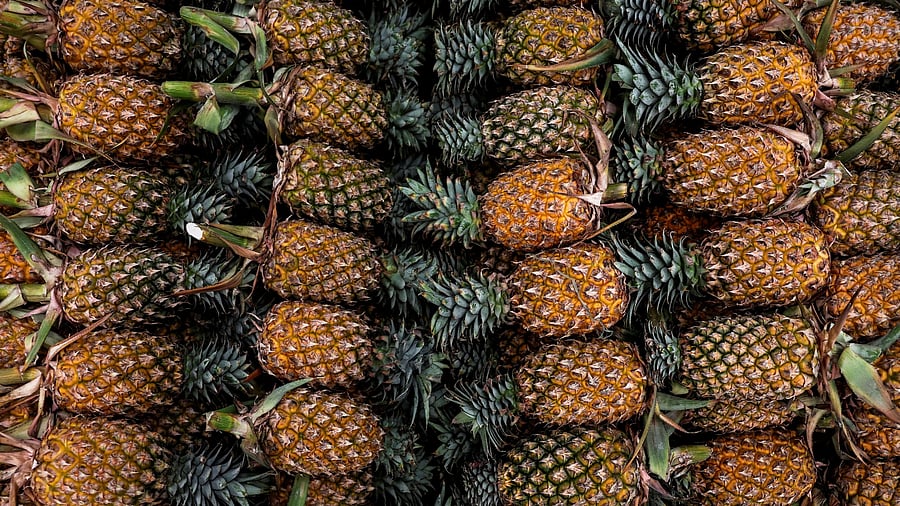 <div class="paragraphs"><p>Pineapples are seen at a wholesale market.</p></div>