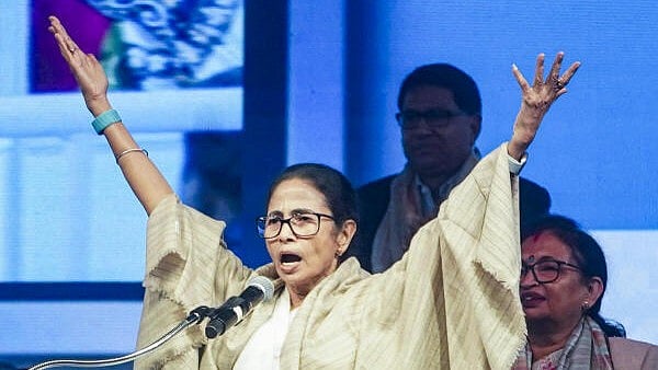 <div class="paragraphs"><p>West Bengal Chief Minister Mamata Banerjee.</p></div>