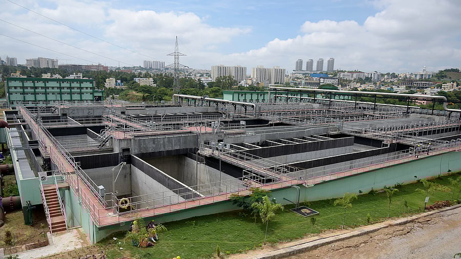 Photo for representation