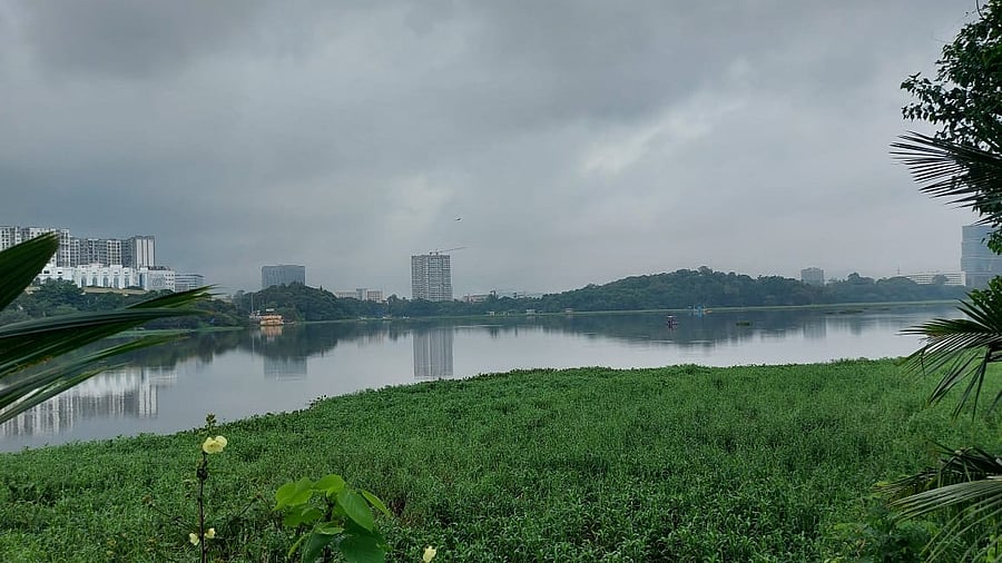 <div class="paragraphs"><p>Powai Lake</p></div>