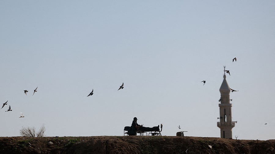 <div class="paragraphs"><p>A man sits on a hilltop in the Bedouin village of Tarabin al-Sana</p><p></p></div>