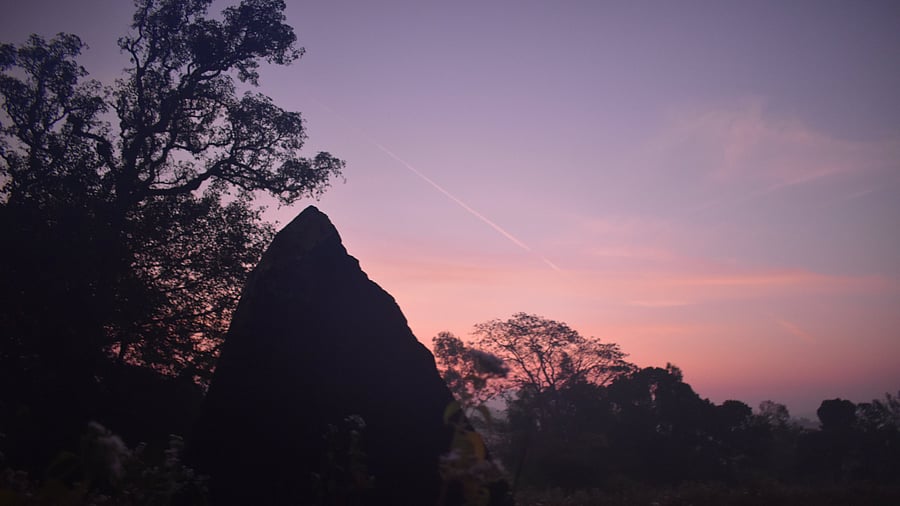 <div class="paragraphs"><p>One of the menhirs at Nilaskal outlined against the sky at dawn.  </p></div>