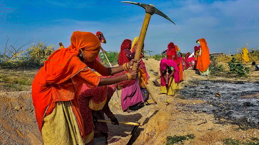 <div class="paragraphs"><p>A file photo of women labourers under the Mahatma Gandhi National Rural Employment Guarantee Act at a field in Bikaner, Rajasthan.</p></div>