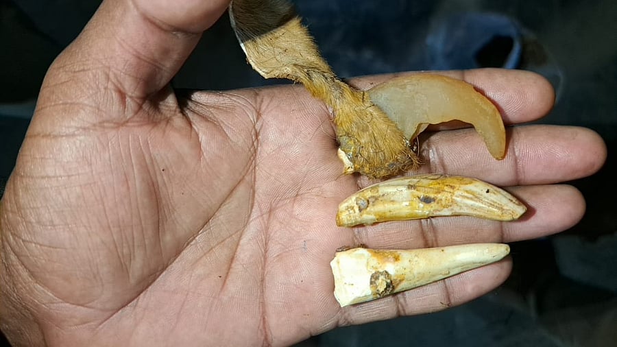 <div class="paragraphs"><p>The trustees stumbled upon the stock hidden in one of the rooms of the temple, which is currently undergoing renovation.</p></div>