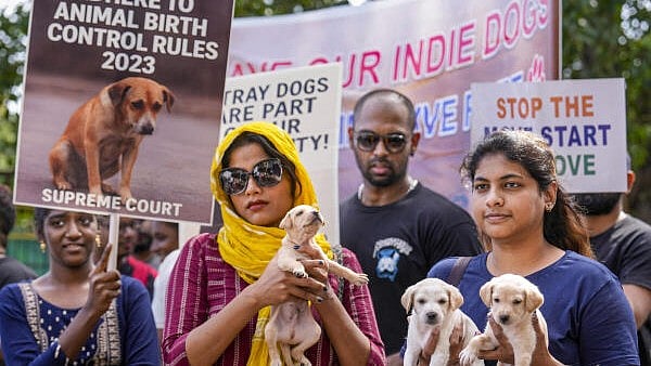 <div class="paragraphs"><p>Volunteers hold placards and puppies during a protest, in Chennai</p></div>