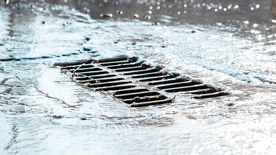 <div class="paragraphs"><p>Representative image for&nbsp;storm sewer</p></div>