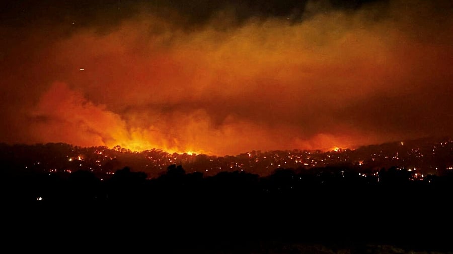 <div class="paragraphs"><p> Longwood bushfire burns, in a location given as Longwood, Victoria, Australia.</p></div>