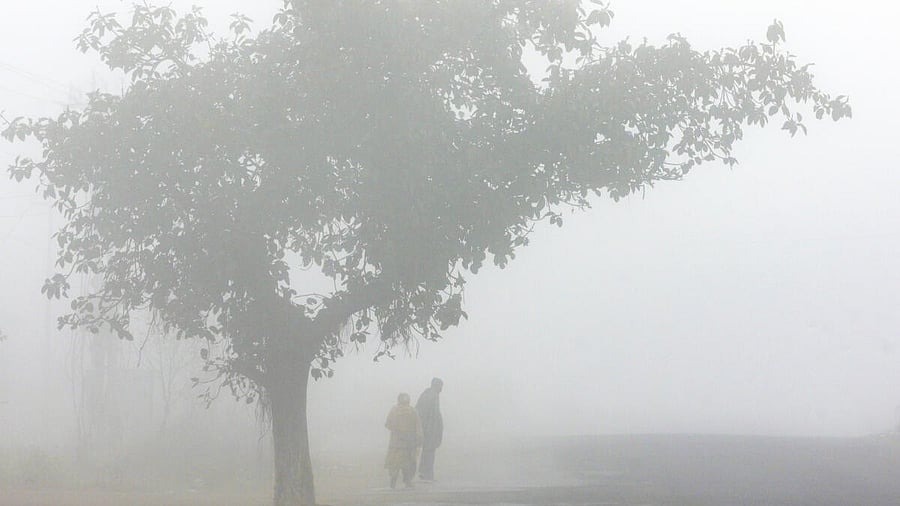 <div class="paragraphs"><p>Pedestrians walk past a roadside tree amid dense fog on a cold winter morning, in Jammu</p></div>