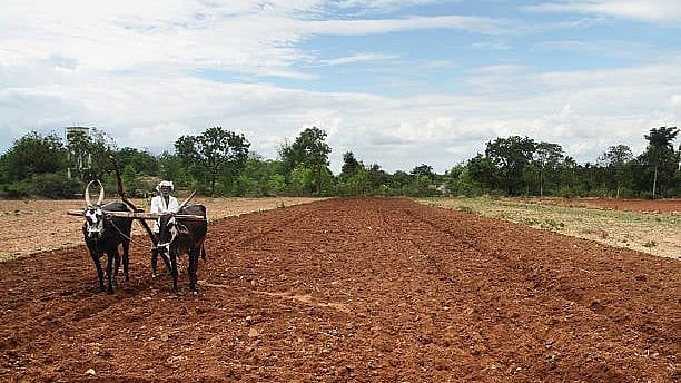 <div class="paragraphs"><p>Trading of futures in several agricultural commodities has remained suspended even as market prices of most commodities have remained below the MSP for quite some time.</p></div>