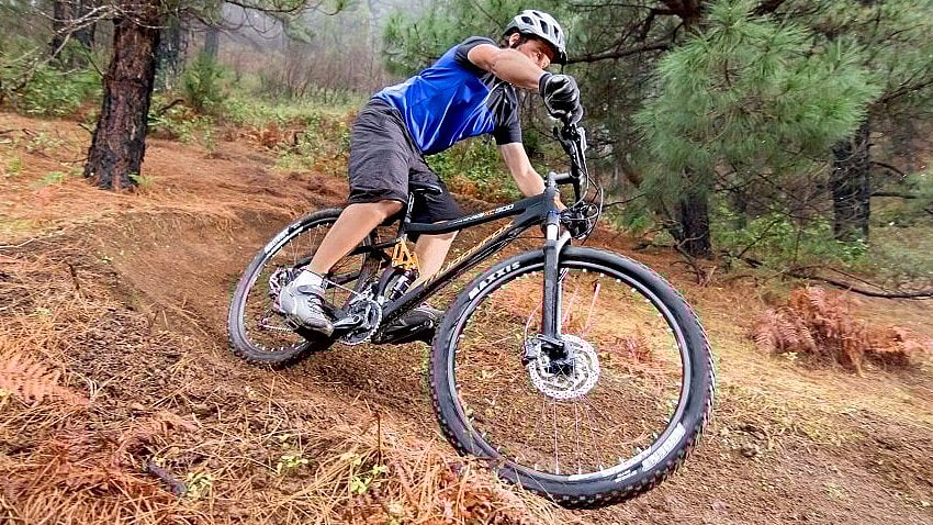 <div class="paragraphs"><p>An muddyfox bike.</p></div>