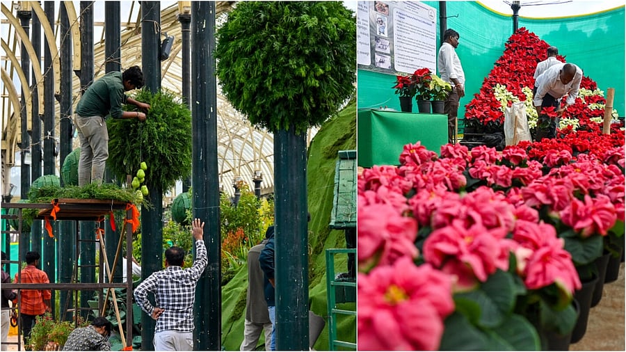 <div class="paragraphs"><p>Preparations underway for the Republic Day flower show at Lalbagh, Bengaluru</p></div>