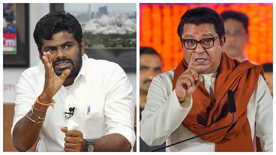 <div class="paragraphs"><p>Annamalai and Raj Thackeray</p></div>