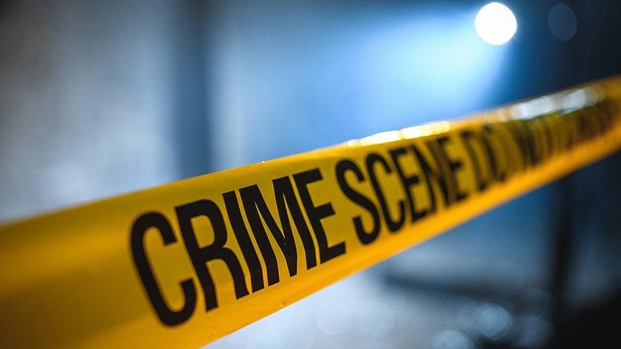 <div class="paragraphs"><p>A representative image.</p></div>