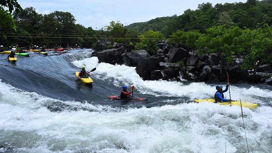 <div class="paragraphs"><p>A representative image.</p></div>