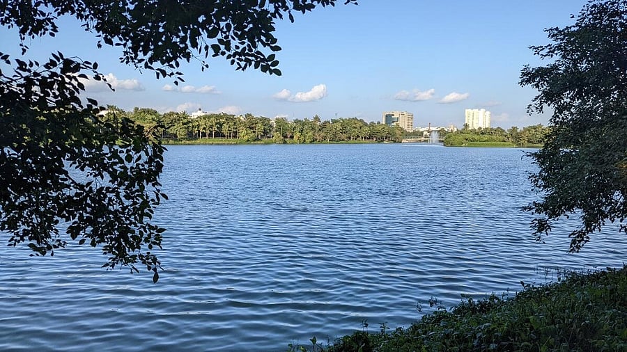 <div class="paragraphs"><p>One of Bengaluru's most poetic secrets lies in the suffix 'sandra' as in Allasandra lake.</p></div>