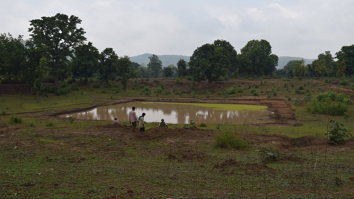 Pollen Grains Unlock Secrets of India's Ancient Climate Patterns