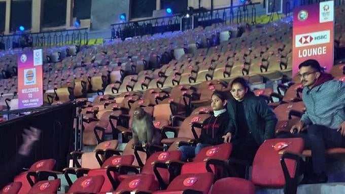 <div class="paragraphs"><p>A monkey spotted inside the stadium during India Open 2026.</p></div>
