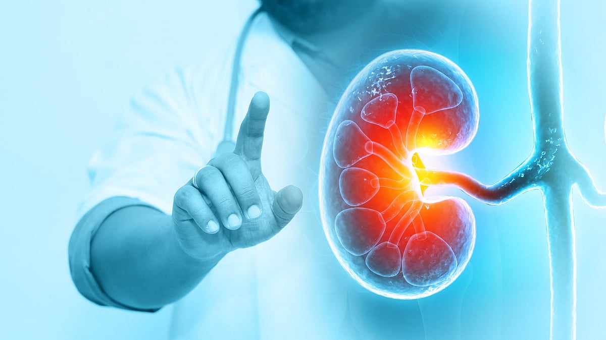 Hidden Dangers of Unexplained Kidney Disease: What You Need to Know