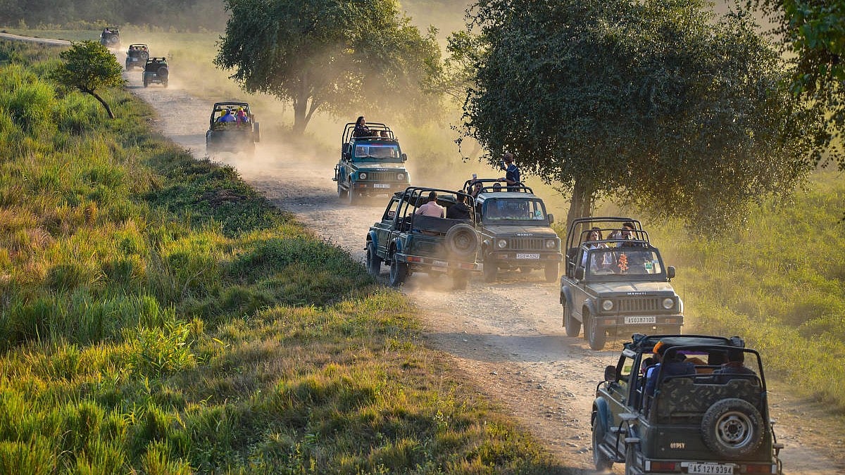 Karnataka Safari Ban Lifted: Tourism Cheers, Farmers Voice Opposition
