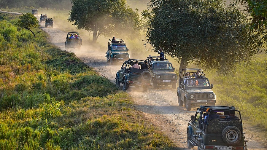 <div class="paragraphs"><p>Jeep safari at Kaziranga National Park</p><p></p></div>