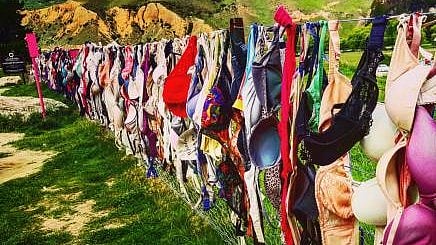 <div class="paragraphs"><p>The accused, identified as Amul NG, allegedly stole women’s inner garments that were left to dry on the terrace of a residential building.</p></div>