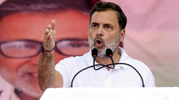 <div class="paragraphs"><p>LoP in the Lok Sabha and Congress leader Rahul Gandhi.</p></div>