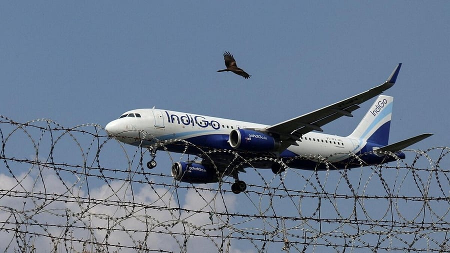 <div class="paragraphs"><p>An IndiGo Airlines aircraft</p></div>