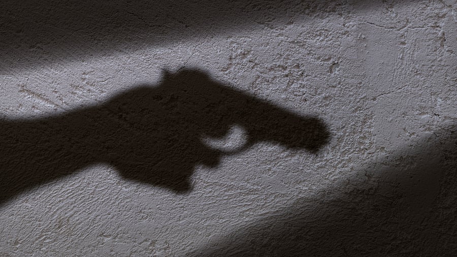 <div class="paragraphs"><p>A representative image.</p></div>