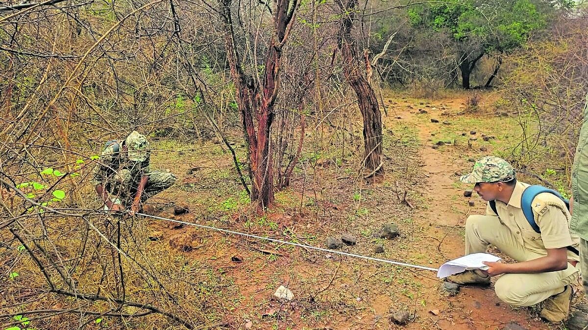 Karnataka Deploys Staff, Drones in MM Hills After Fatal Leopard Attack