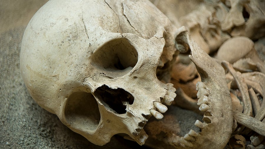 <div class="paragraphs"><p>A representative image.</p></div>