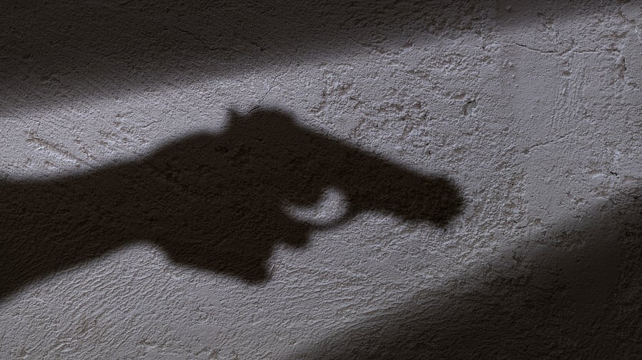 <div class="paragraphs"><p>A representative image.</p></div>