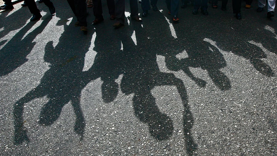 <div class="paragraphs"><p>A representative image.</p></div>