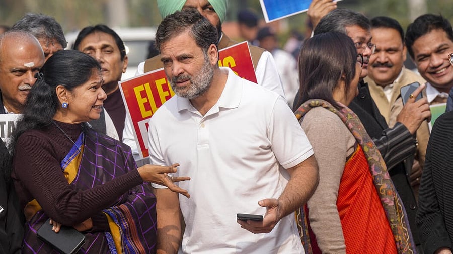 <div class="paragraphs"><p>File Photo: LoP in the Lok Sabha and Congress leader Rahul Gandhi with MP Kanimozhi Karunanidhi.</p></div>