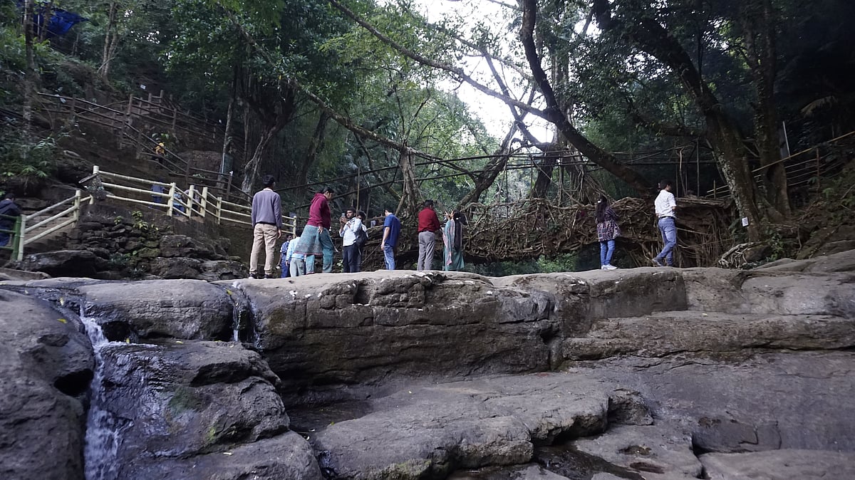 Asia's Cleanest Village in Meghalaya to Close to Tourists on Sundays