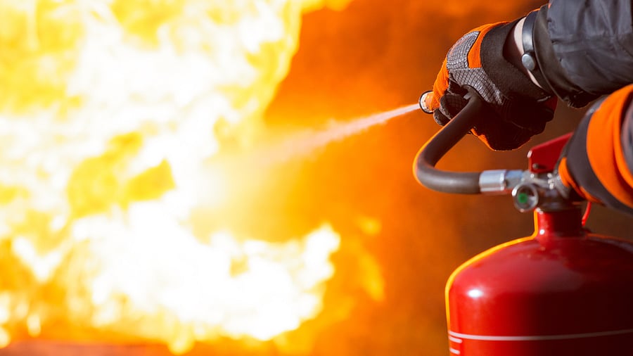 <div class="paragraphs"><p>A representative image.</p></div>