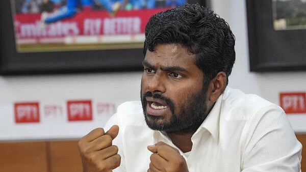 <div class="paragraphs"><p>K Annamalai</p></div>