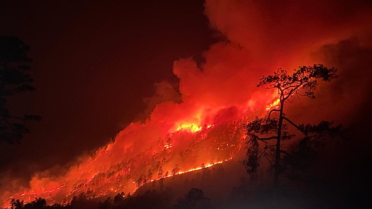 Indian Army and IAF Jointly Contain Major Wildfire Along Arunachal Pradesh Border