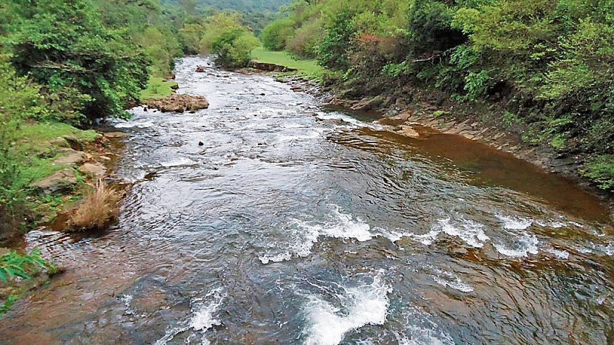 Mahadayi Water Project to Hubballi-Dharwad Faces Environmental Hurdle Over Wildlife Concerns