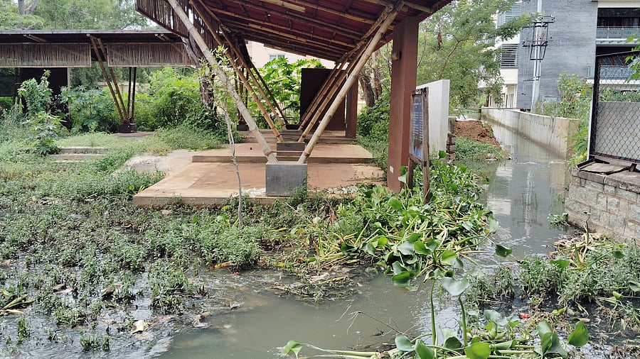 <div class="paragraphs"><p>The lake made headlines in 2024 after sewage from upstream areas flowed in through a stormwater drain ending at its boundary. </p></div>