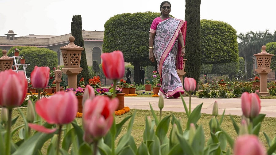 <div class="paragraphs"><p>President Droupadi Murmu graces the opening of the Amrit Udyan Winter Annuals Edition 2026, at Rashtrapati Bhavan in New Delhi.</p></div>